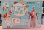 Esmi®- 🧠✨ Human Body Anatomy Learning Kit ✨🧠