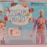 Esmi®- 🧠✨ Human Body Anatomy Learning Kit ✨🧠