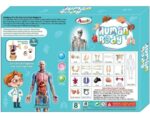 Esmi®- 🧠✨ Human Body Anatomy Learning Kit ✨🧠 - Image 4
