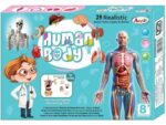 Esmi®- 🧠✨ Human Body Anatomy Learning Kit ✨🧠 - Image 6