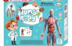 Esmi®- 🧠✨ Human Body Anatomy Learning Kit ✨🧠 - Image 2