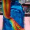 Esmi *Neon Transparent Cross over Chest bags*