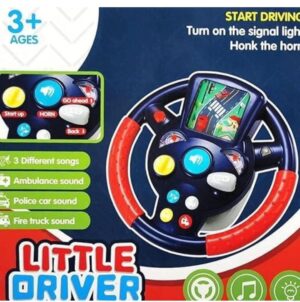 Esmi- *Smart Driver Toy*