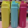 Esmi- *Starbucks Style Stainless Steel Bottle 750 ML*