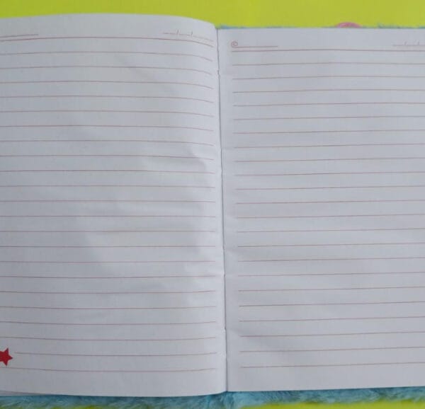 Esmi *Plush Fur Diary with Zip Pouch on Diary Cover*