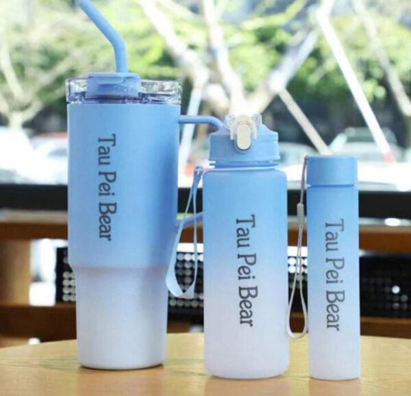 Esmi *Ombre 3 pc Mug Bottle Set*