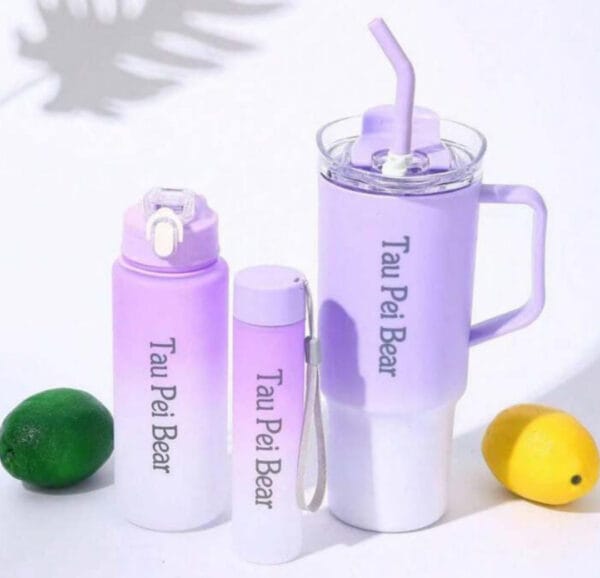 Esmi *Ombre 3 pc Mug Bottle Set*