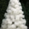 Esmi-??? *Christmas decorations items* & *Christmas Green Pine White/Snow Tree* Combo???