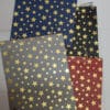 Esmi *Thick/Hard Paper Gift Bags