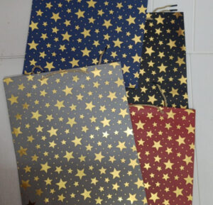 Esmi- *Thick/Hard Paper Gift Bags