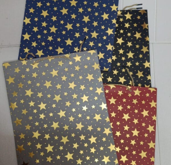 Esmi *Thick/Hard Paper Gift Bags
