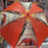 Esmi- *Kids Half 3D & Half Cartoon Umbrella*