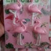 jkyVNBLVpR.jpg Esmi *Flammingo Eraser set of 4 pc*