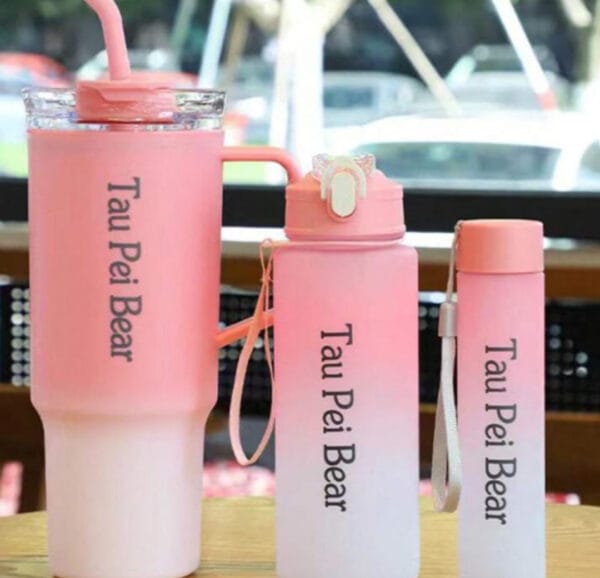 Esmi *Ombre 3 pc Mug Bottle Set*
