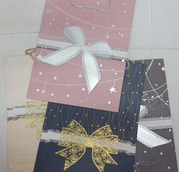 Esmi *Thick/Hard Paper Gift Bags