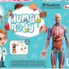 Esmi®- 🧠✨ Human Body Anatomy Learning Kit ✨🧠