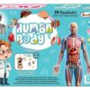 Esmi®- 🧠✨ Human Body Anatomy Learning Kit ✨🧠