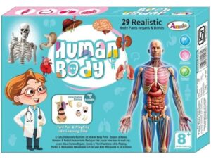 Esmi®- 🧠✨ Human Body Anatomy Learning Kit ✨🧠