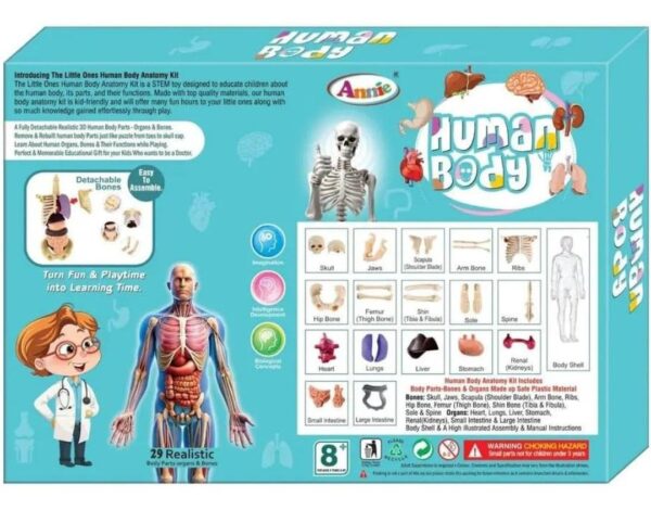 Esmi®- 🧠✨ Human Body Anatomy Learning Kit ✨🧠
