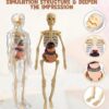 Esmi®- 🧠✨ Human Body Anatomy Learning Kit ✨🧠