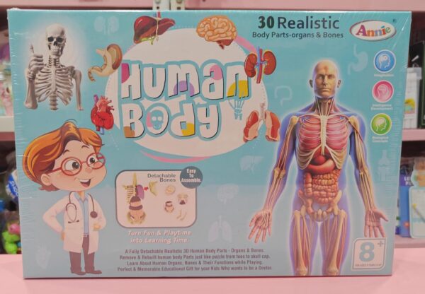 Esmi®- 🧠✨ Human Body Anatomy Learning Kit ✨🧠